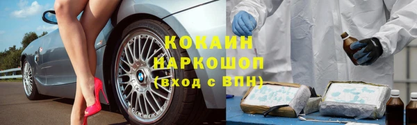 прущие крисы Вяземский