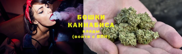 прущие крисы Вяземский