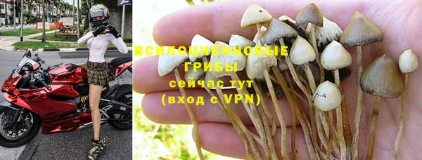 не бодяженный Липки